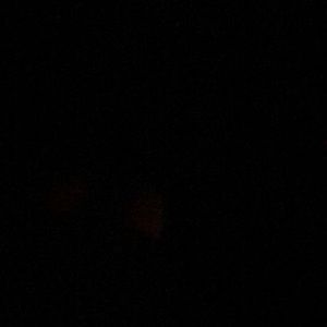 Meet your Posher, Naitosha